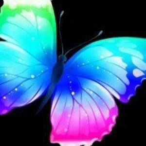 Meet your Posher, Diana